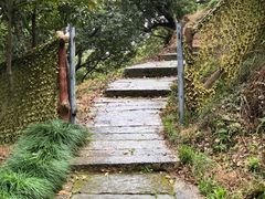 -宁波市保国寺古建筑博物馆