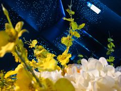 -黑桃K生日订制KTV