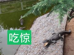 -石家庄市动物园