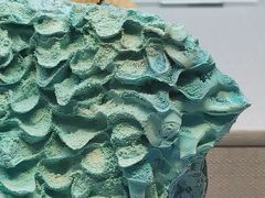 -湖南省地质博物馆