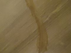 -成都安仁福朋喜来登酒店