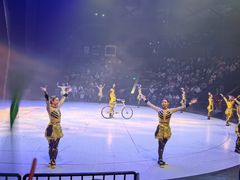 -重庆国际马戏城