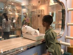 -BABIT巴比特宠物(MOMOPARK店)