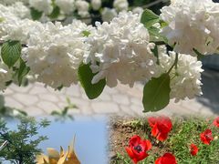 -玄武湖景区-情侣园游乐场