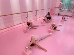 -桃子公主舞蹈培训(万柳校区)