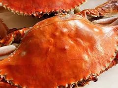 -奕景酒家· 专注大连海鲜30年(星海广场店)