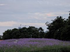 -成都欢乐谷