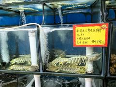 -蚝专家(北滘店)