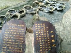 -成都市活水公园
