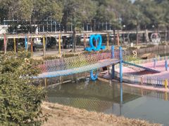 -苏州太湖西山岛开心农场