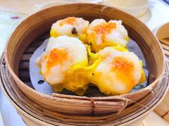 -美心皇宫(屯门大会堂店)