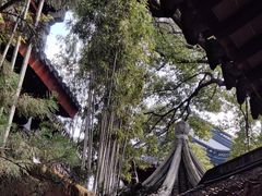 -寒山寺