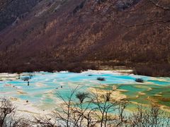 -黄龙山原始森林景区
