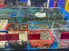 -明本湛江鸡•海鲜小厨(陈家祠店)