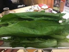 油麦菜-313羊庄鲜羊火锅·鲜羊肉烧烤(李村店)