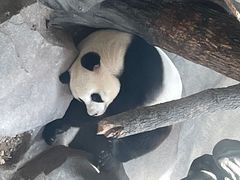 -宁波野生动物园
