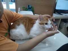 -芭比堂动物医院·犬猫全科·异宠专科(雁塔分院)