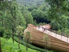 -云溪植物园