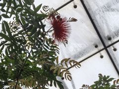 -北京植物园-展览温室