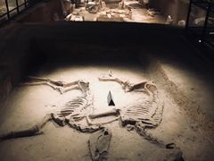 景点-洛阳古墓博物馆