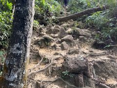 -梧桐山风景名胜区