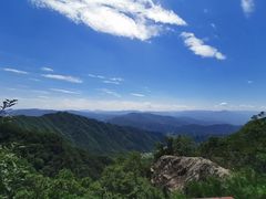 -王顺山国家森林公园