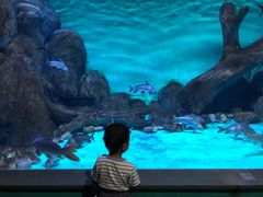 -常州海昌海洋探索馆
