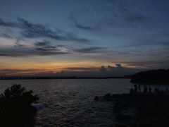 -宝安西湾红树林湿地公园