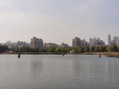 -武汉园博园(武汉自然博物馆)