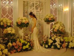 -MuseMarry婚纱(前海嘉里中心店)