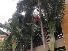 -三亚湾海居铂尔曼度假酒店