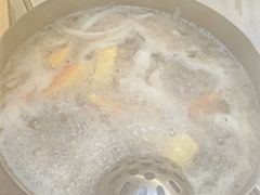 -探窝·竹笙椰子鸡(杨箕店)