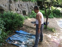 -紫金山山顶公园