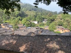 -杨家堂村