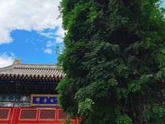 -北京艺术博物馆(万寿寺)