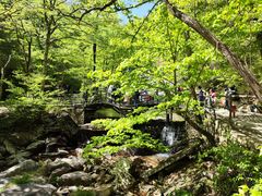 -安徽天堂寨风景区