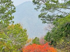 -少华山国家森林公园