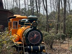 -合肥滨湖国家森林公园