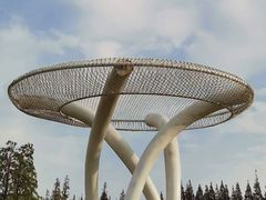 -黄海国家森林公园