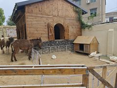 -HERRE·FARM 赫尔露营农场·团建聚会包场