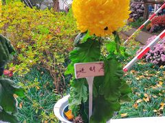 -杭州植物园