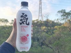 -金鸡山公园