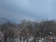 -紫金山山顶公园