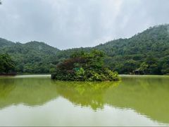 -广州白江湖森林公园