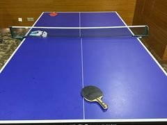 -郑州新郑国际机场T2航站楼-贵宾厅B区