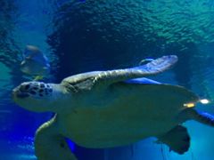 -石林冰雪海洋世界