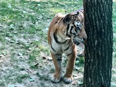 -北京野生动物园