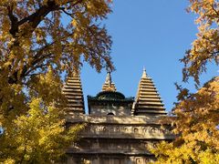 -北京石刻艺术博物馆(五塔寺)