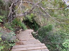 -白草畔自然风景区