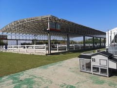 -上海崇明金茂凯悦酒店